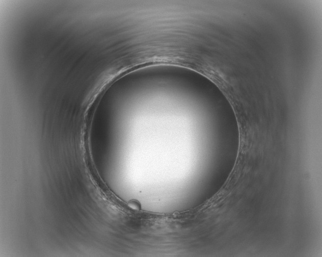 X0000067850098200604171235