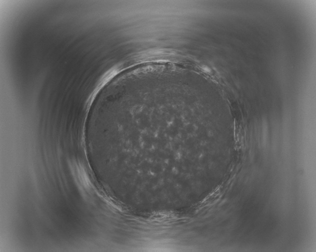 X0000067850099200604171235