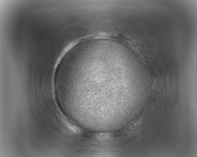 X0000067850102200604171235