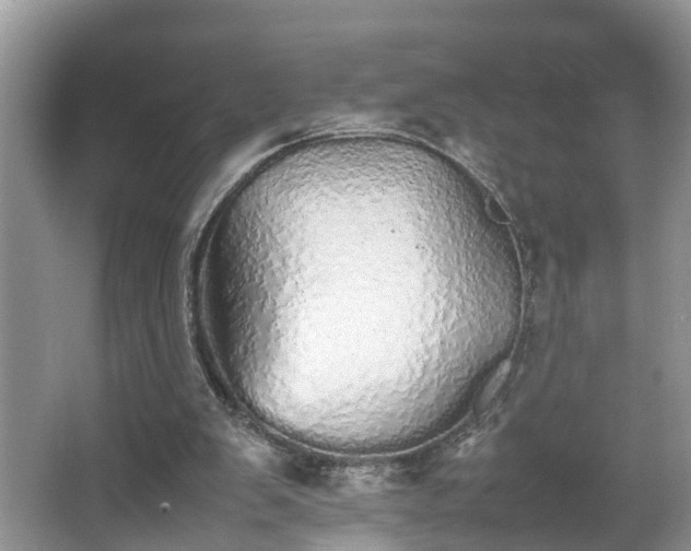 X0000067850103200604171235