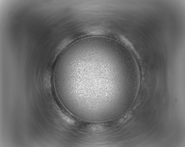 X0000067850106200604171234