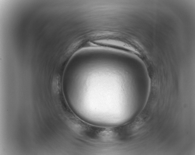 X0000067850119200604171234