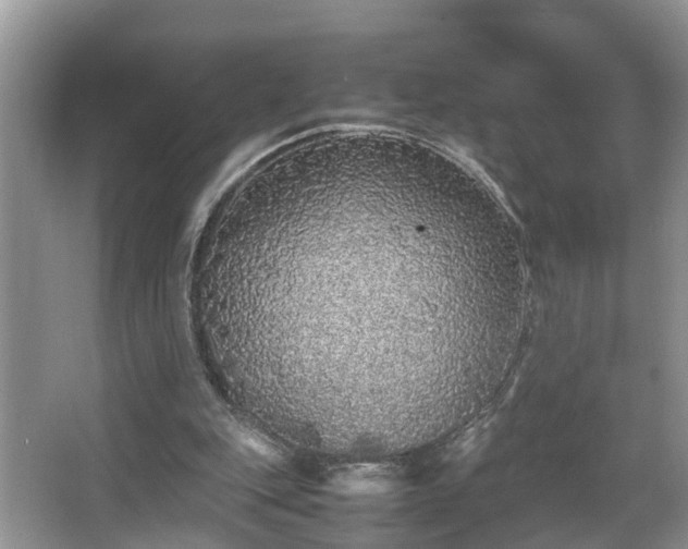 X0000067850151200604171233