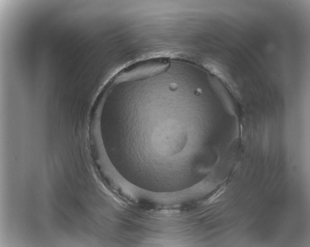 X0000067850156200604171233