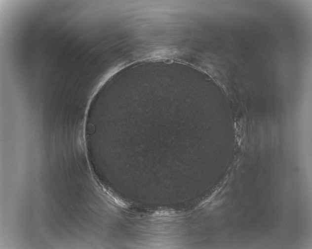 X0000067850196200604171233