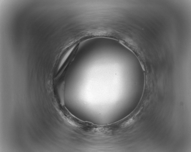 X0000067850201200604171233