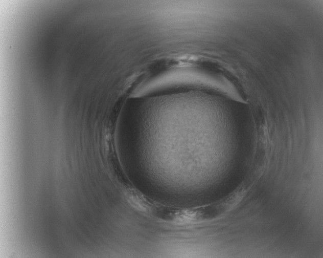X0000067850235200604171232