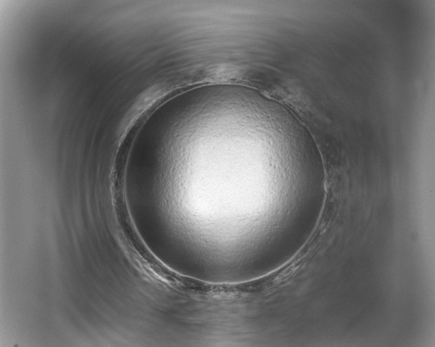X0000067850242200604171231