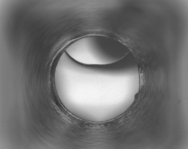 X0000067850243200604171231