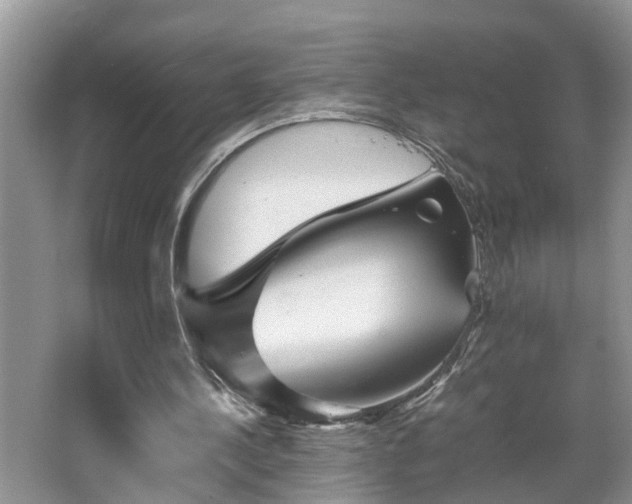X0000067850244200604171231