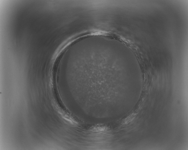 X0000067850247200604171232