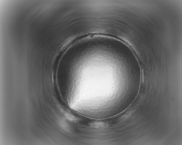 X0000067850253200604171232