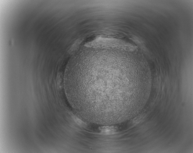 X0000067850273200604171232