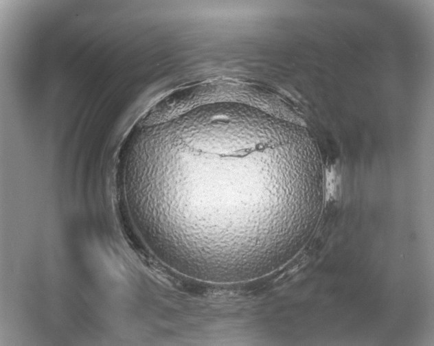 X0000067850291200604171231