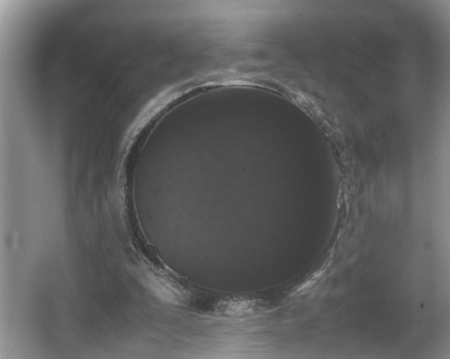 X0000067850295200604171231