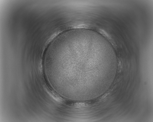 X0000067850298200604171231