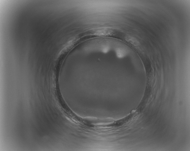 X0000067850303200604171231
