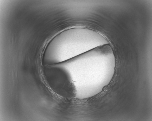 X0000067850337200604171230