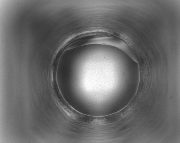 X0000067850350200604171230