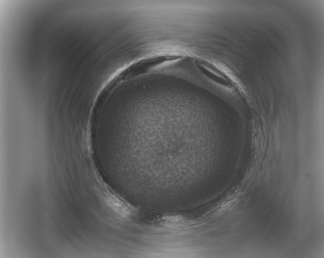 X0000067850391200604171230