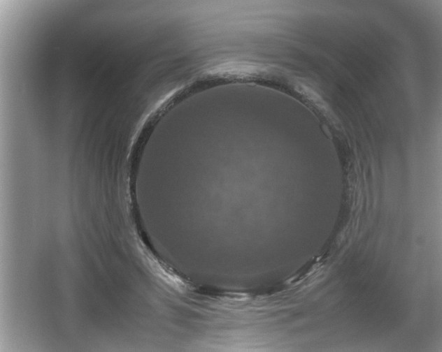 X0000067850399200604171230