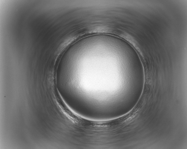 X0000067850437200604171228