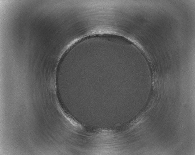 X0000067850438200604171228