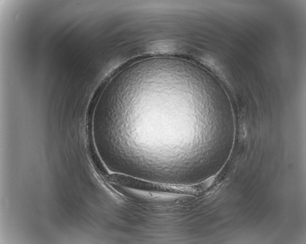 X0000067850439200604171228