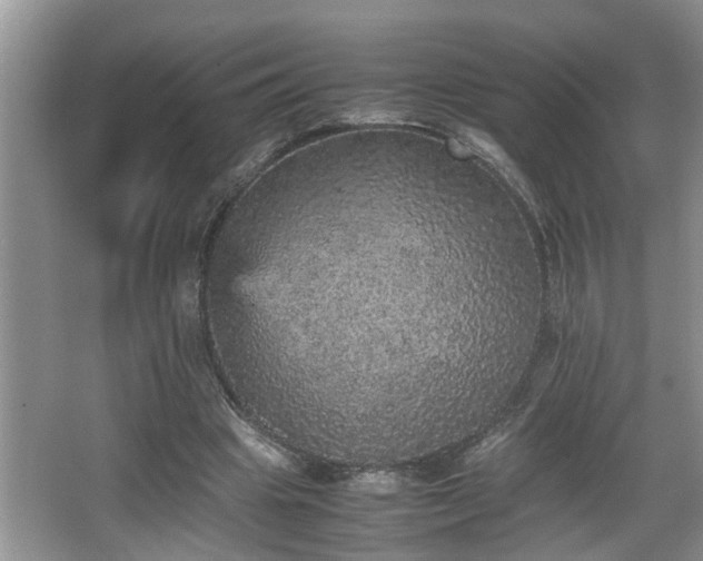 X0000067850441200604171228