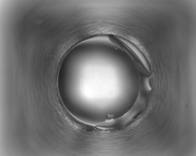 X0000067850481200604171228