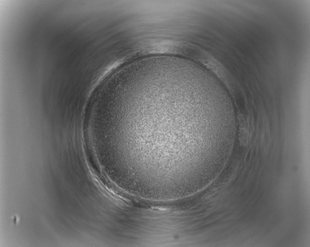 X0000067850482200604171228