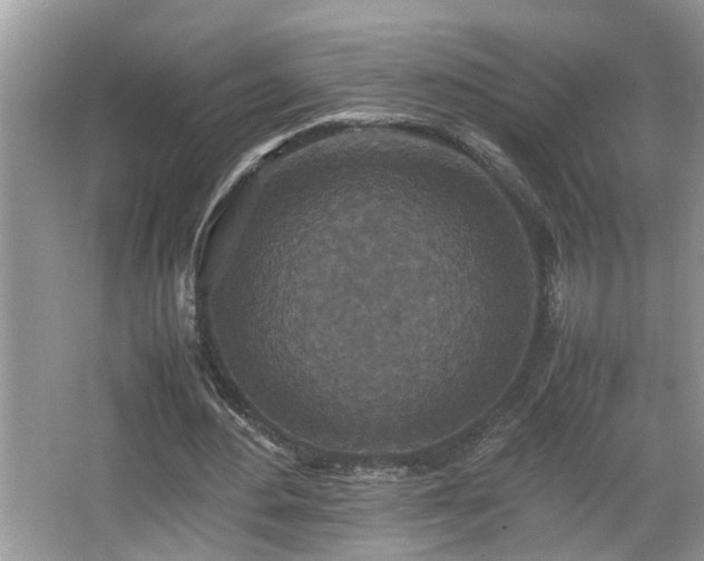 X0000067850484200604171228
