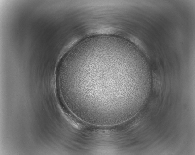 X0000067850486200604171228