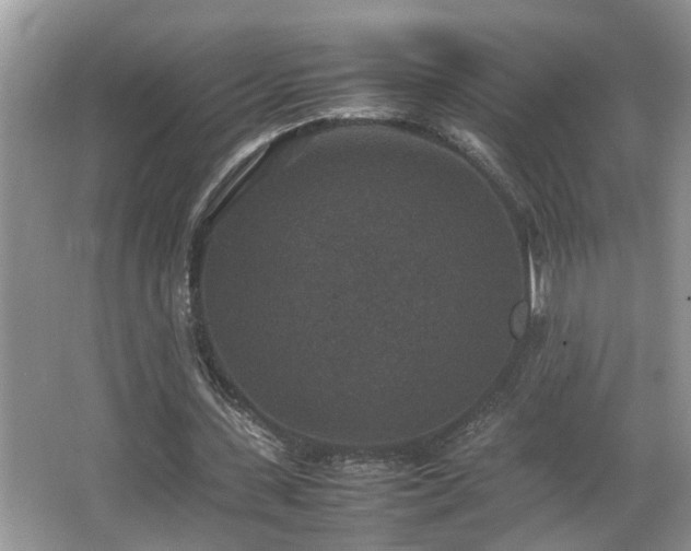 X0000067850531200604171227