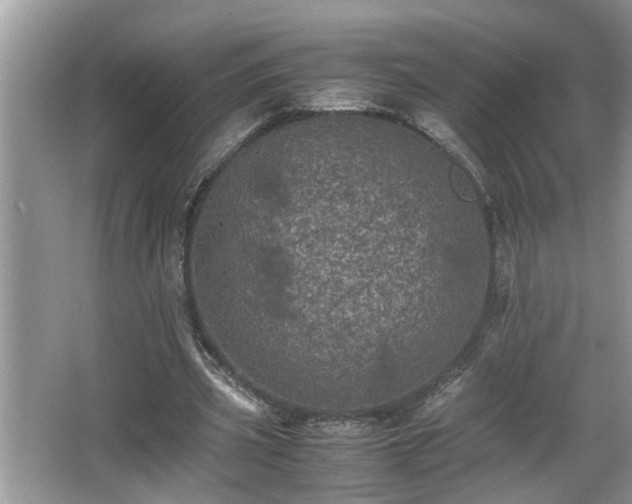 X0000067850533200604171227