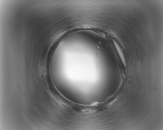 X0000067850536200604171227