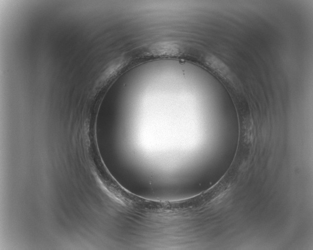 X0000067850538200604171227