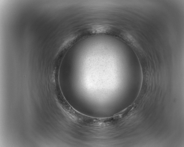X0000067850543200604171227