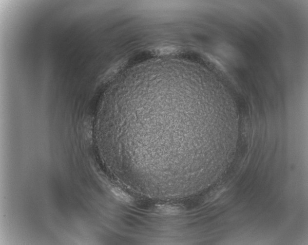 X0000067850545200604171227