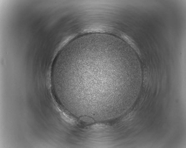 X0000067850578200604171227