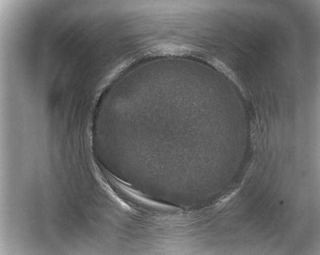 X0000067850581200604171227