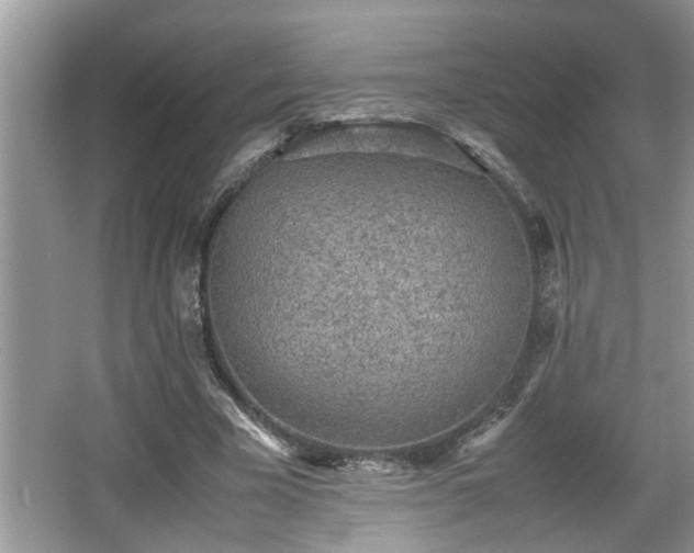 X0000067850585200604171226