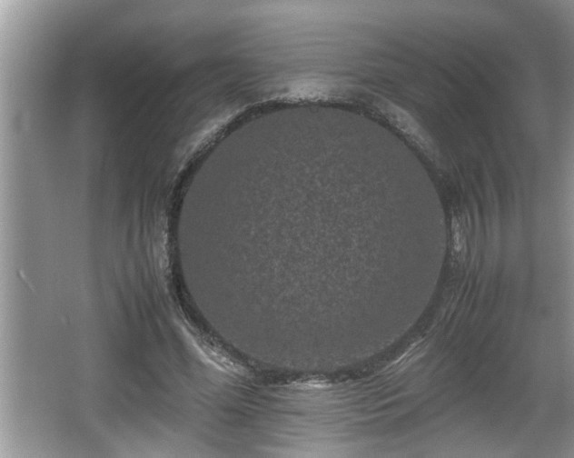 X0000067850588200604171226
