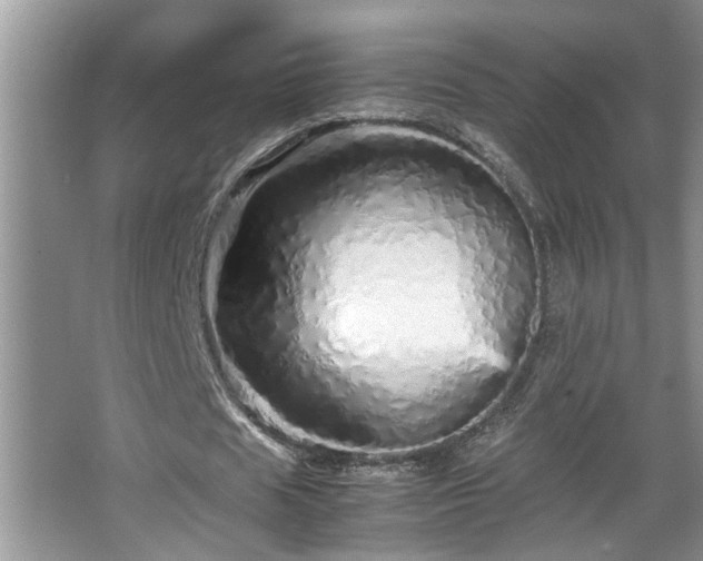 X0000067850625200604171225