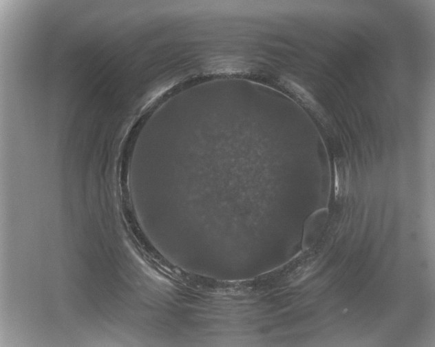 X0000067850627200604171225
