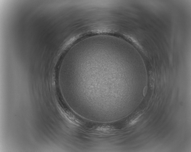 X0000067850631200604171225
