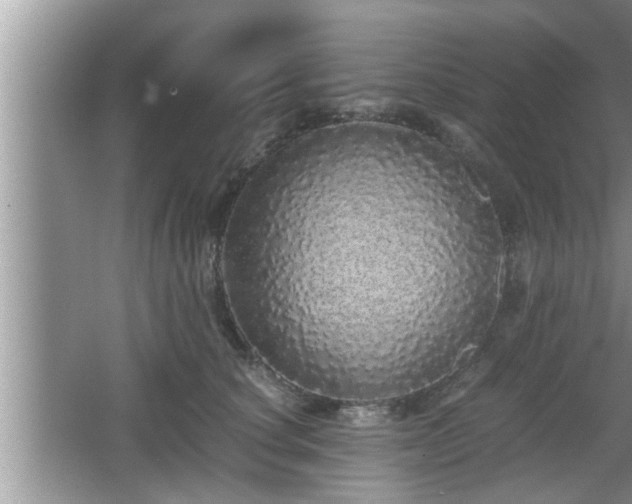 X0000067850660200604171226