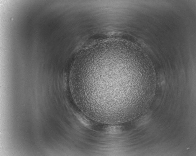 X0000067850664200604171226