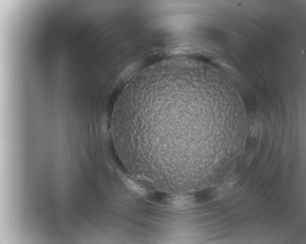 X0000067850670200604171226