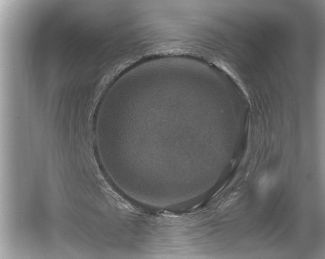 X0000067850673200604171225